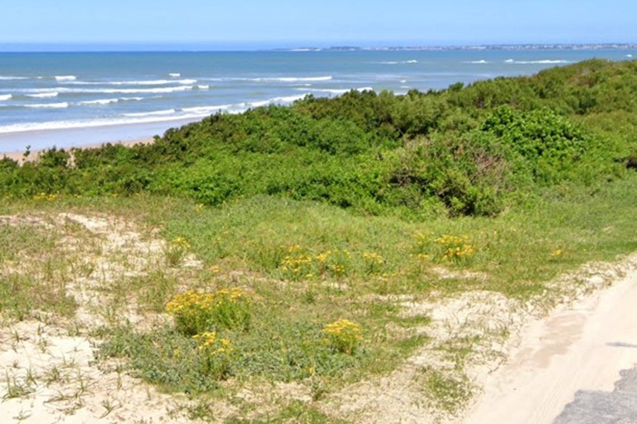 0 Bedroom Property for Sale in Paradise Beach Eastern Cape